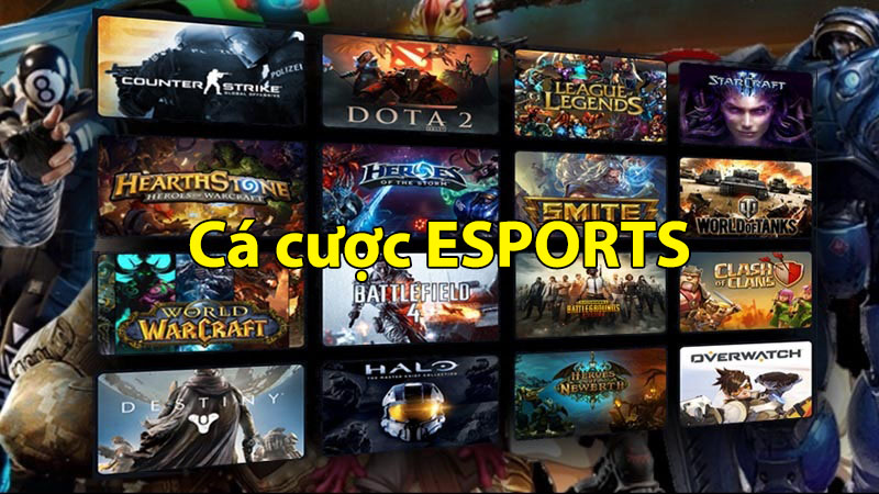 Cá cược Esports tại CMD368. Cơ hội vàng cho game thủ và nhà đầu tư