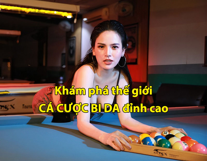 Cá cược bi da - Khám phá thế giới giải trí tại CMD368