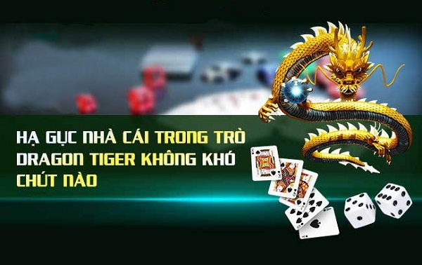 Kinh nghiệm cá cược Long Hổ