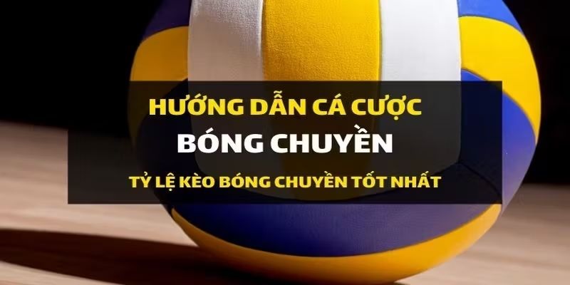 hướng dẫn các tỷ lệ kèo cược bóng chuyền