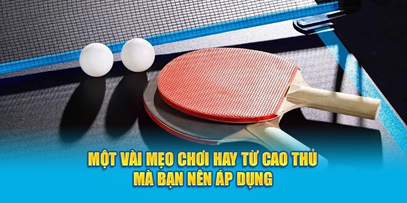 mẹo cá cược bóng bàn hay